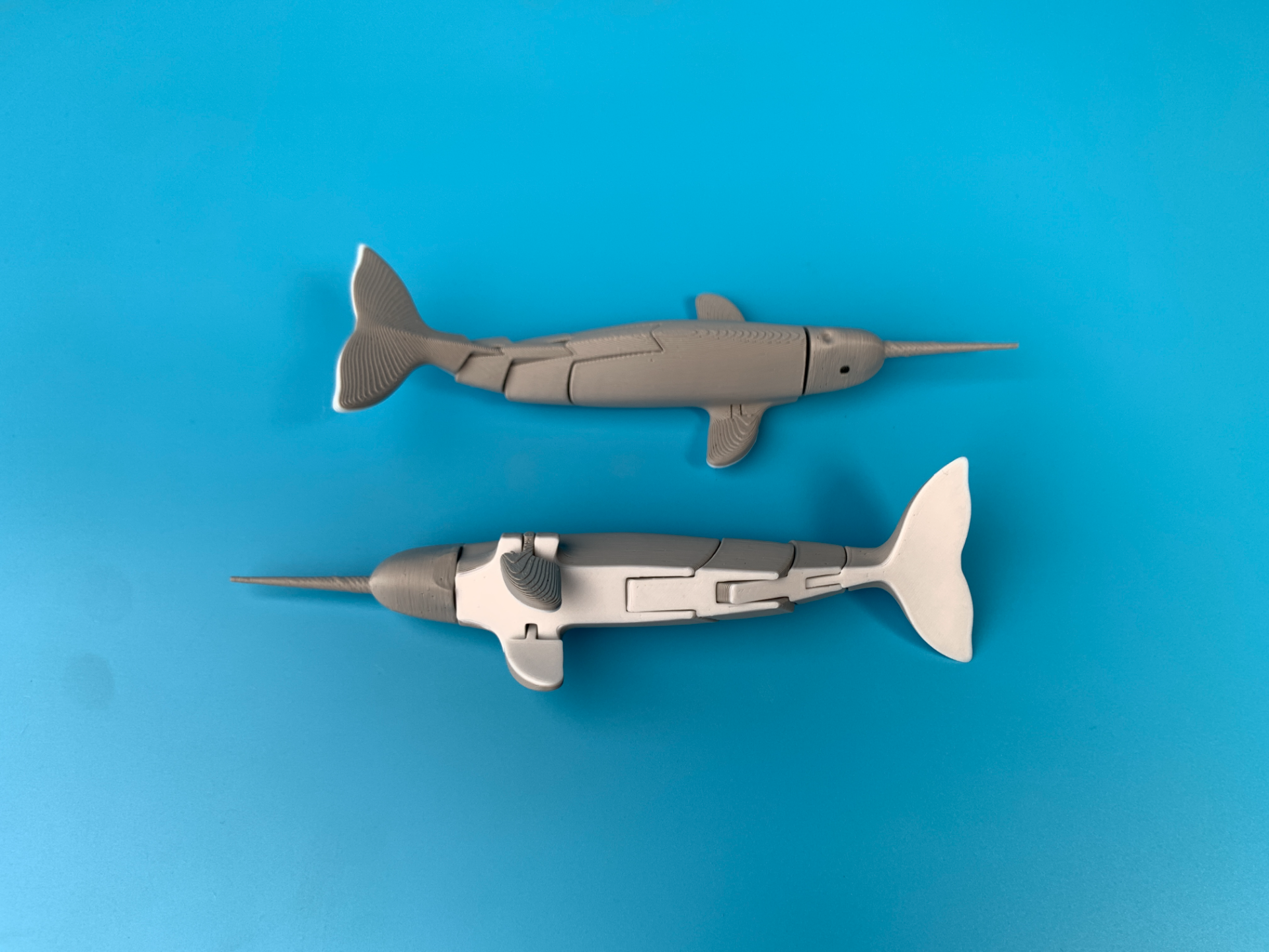 🦄🐋 Flexi-Narwal – Das bewegliche Einhorn der Meere