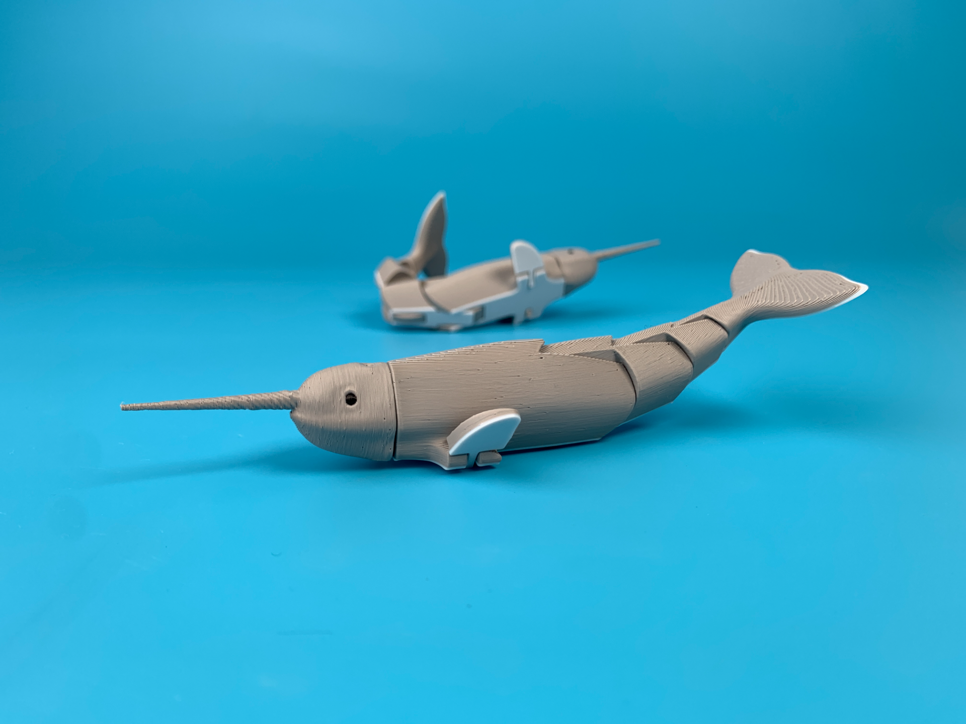 🦄🐋 Flexi-Narwal – Das bewegliche Einhorn der Meere